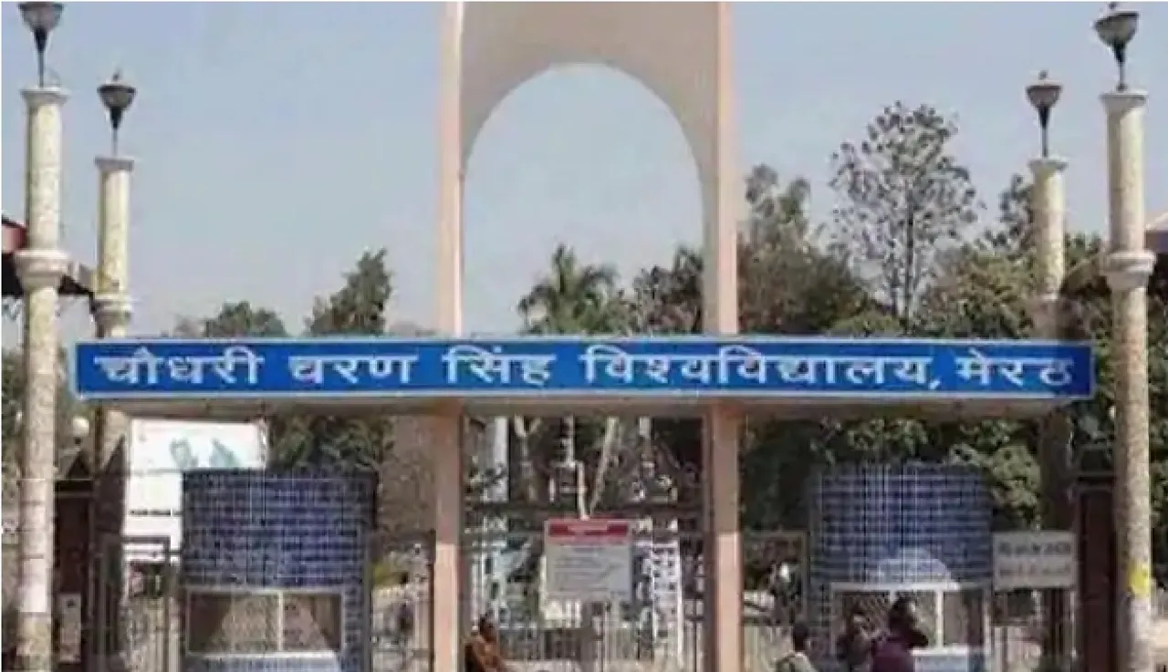 CCS University