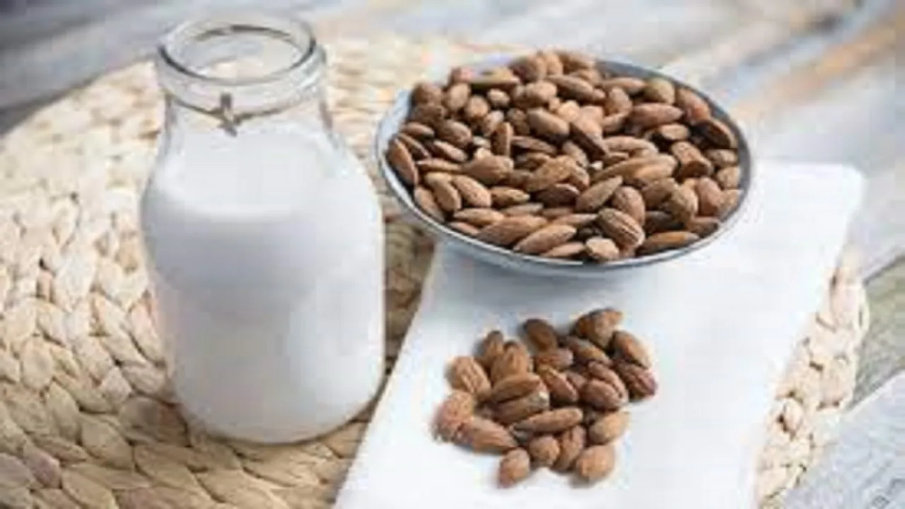 what is vegan milk