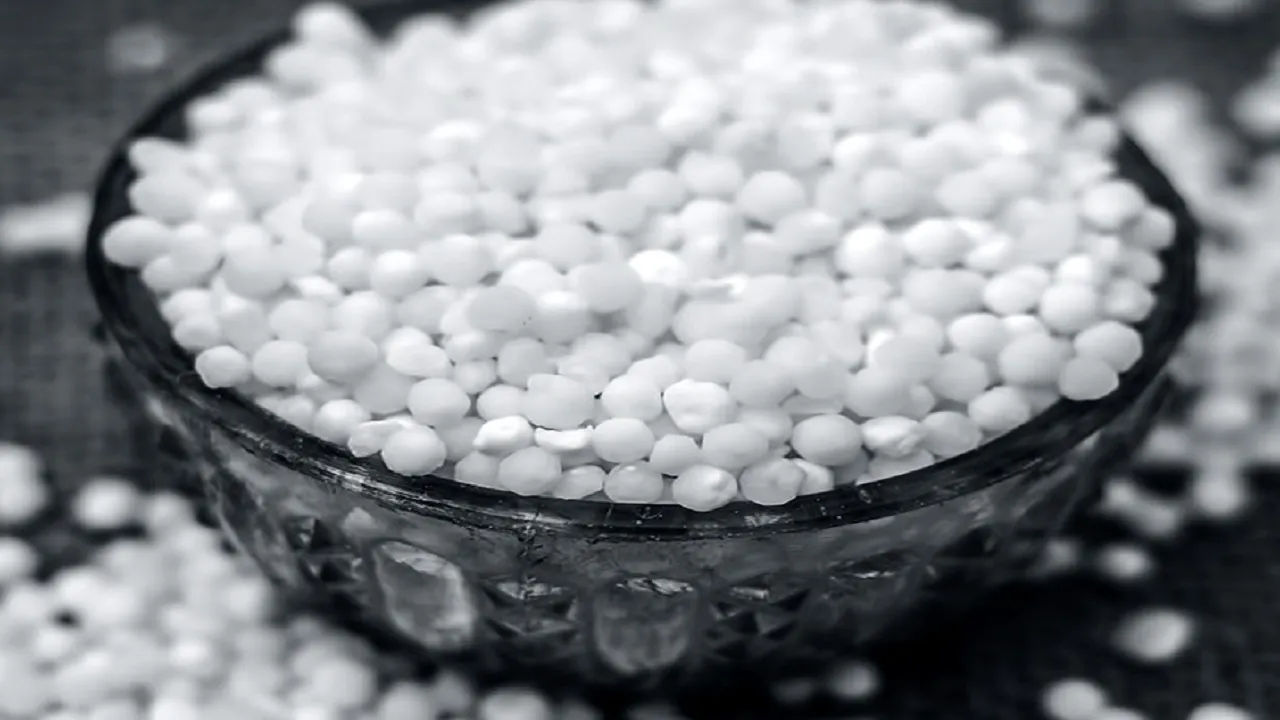 Sago Sabudana