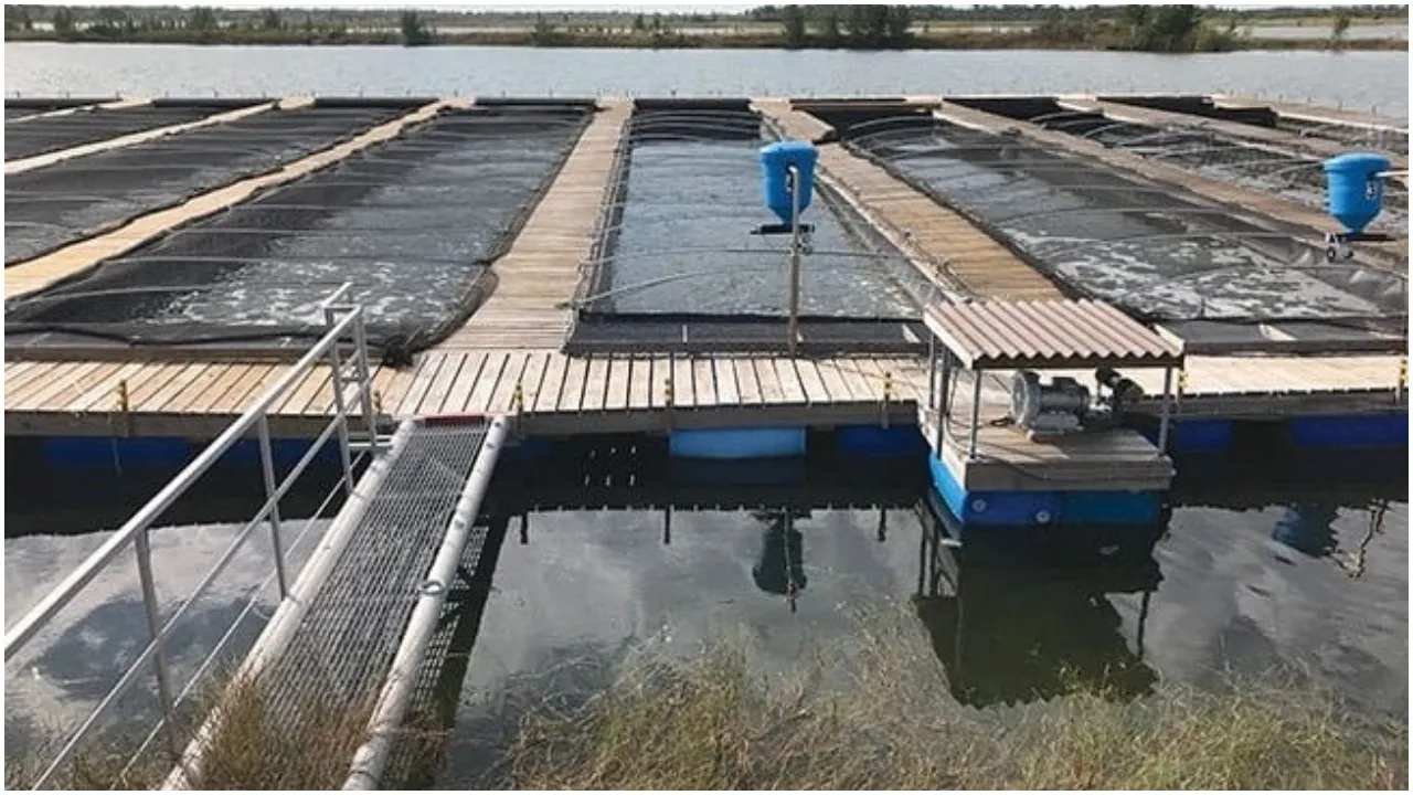 Floating Raceway Technology