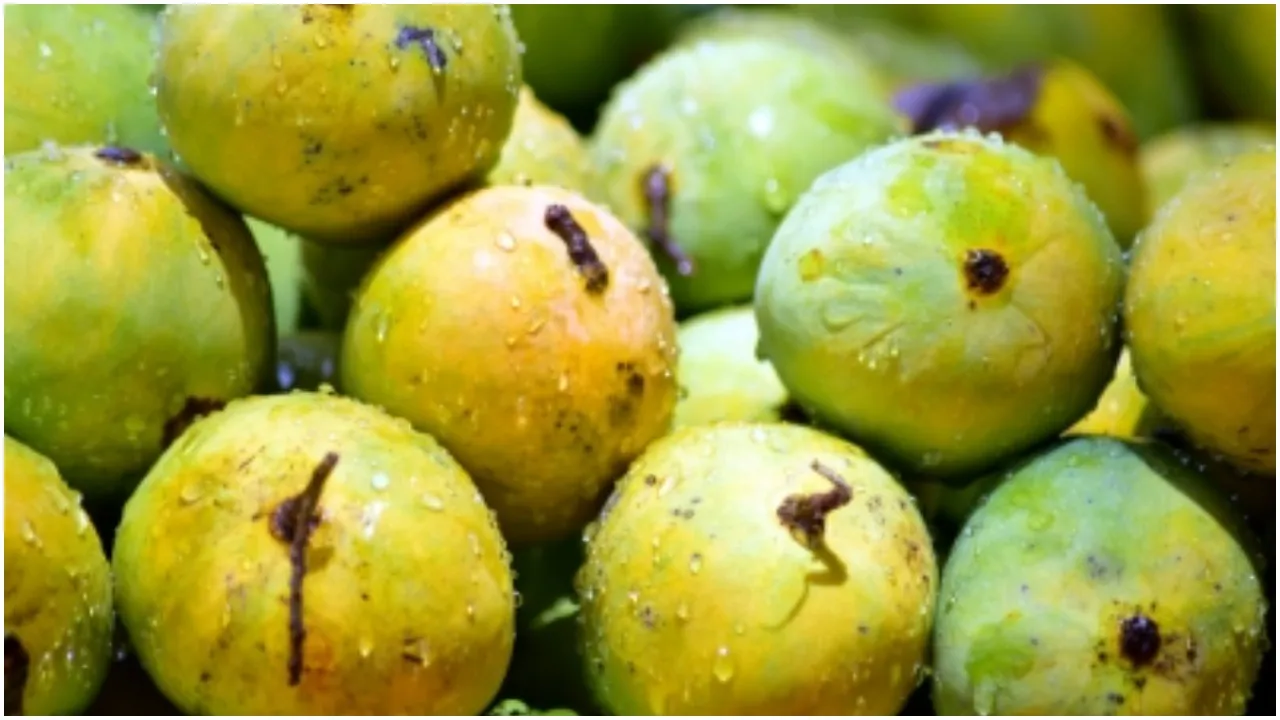 Malihabadi Mango