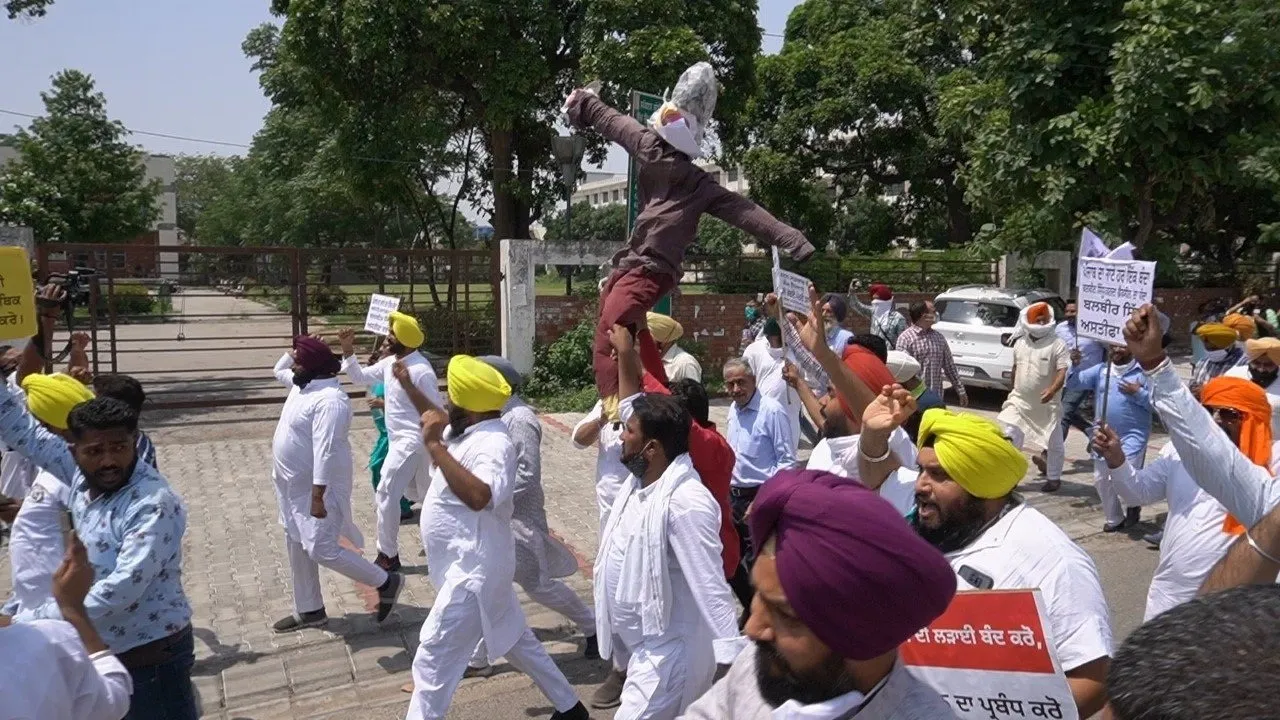 Punjab Aap