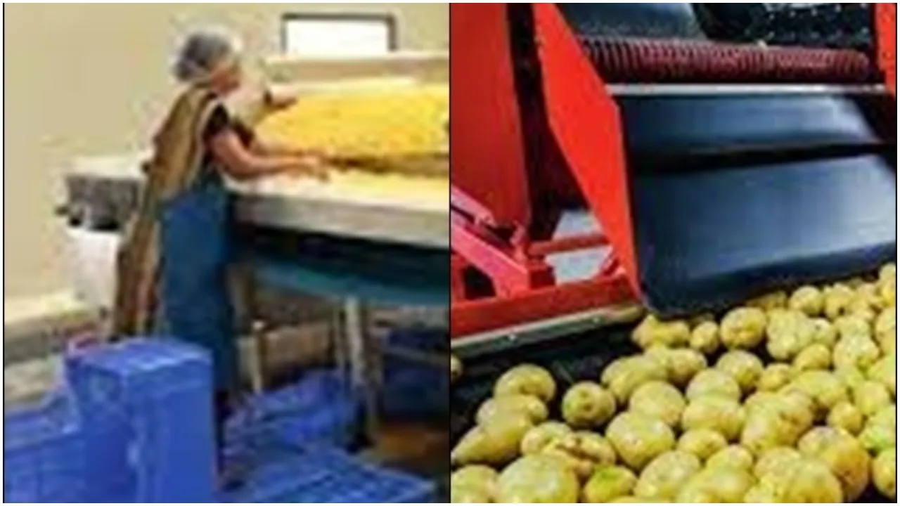 Food Processing Industry