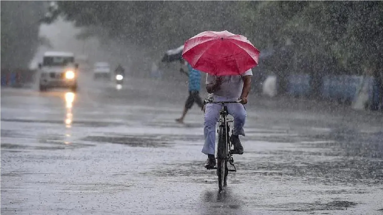 Rain
