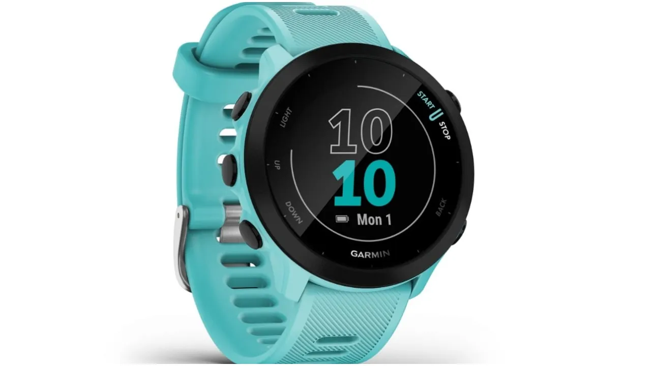 Garmin Forerunner 55 Smartwatch