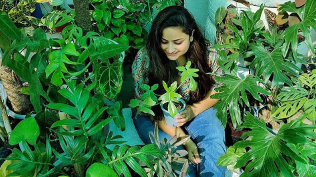 Sakshi Bhardwaj
