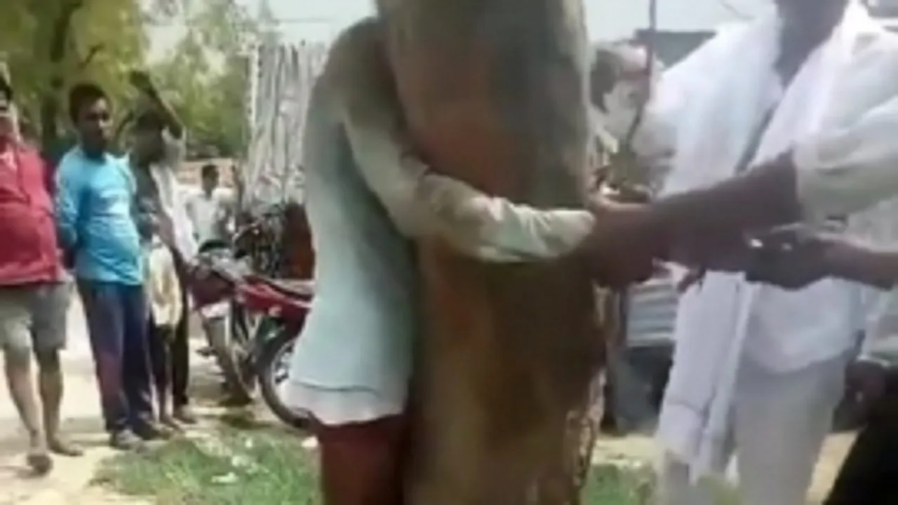 dalit pitai