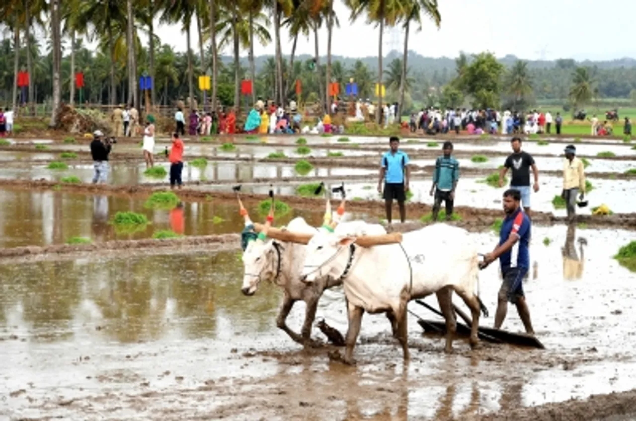 Ktaka to