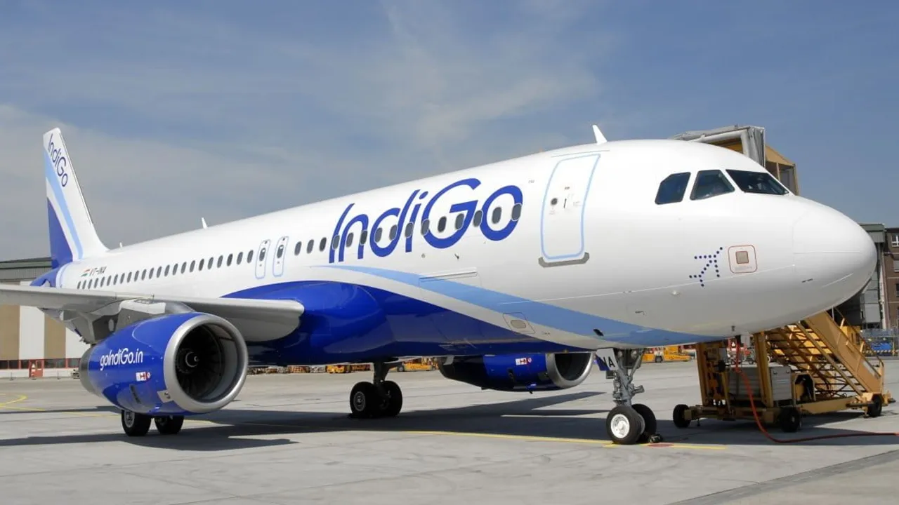 Indigo Flight