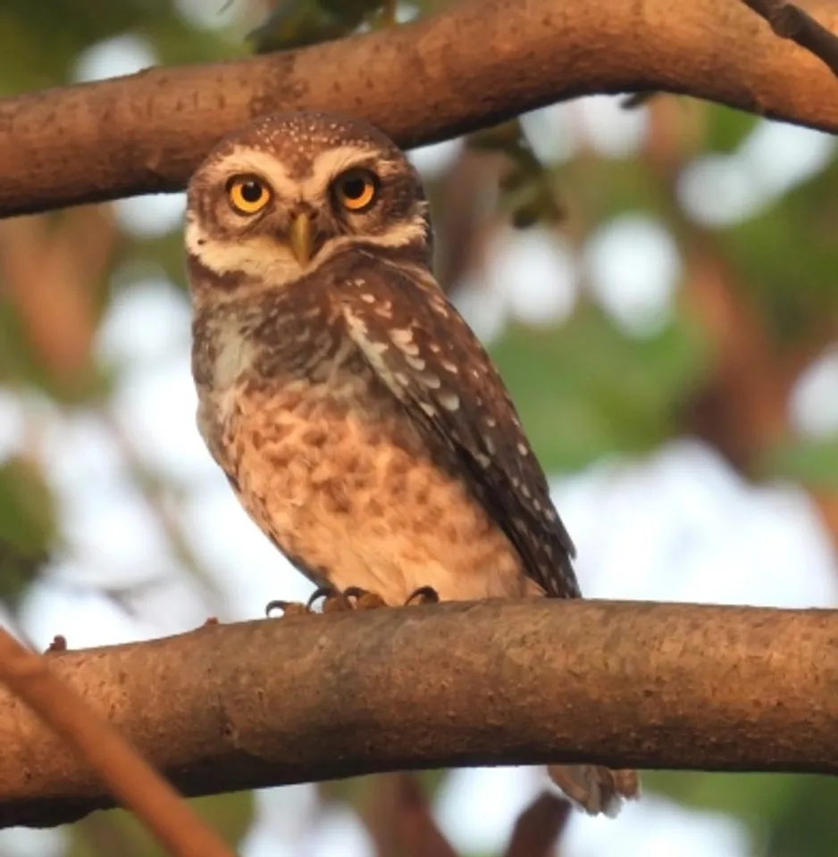 Vizag zoo