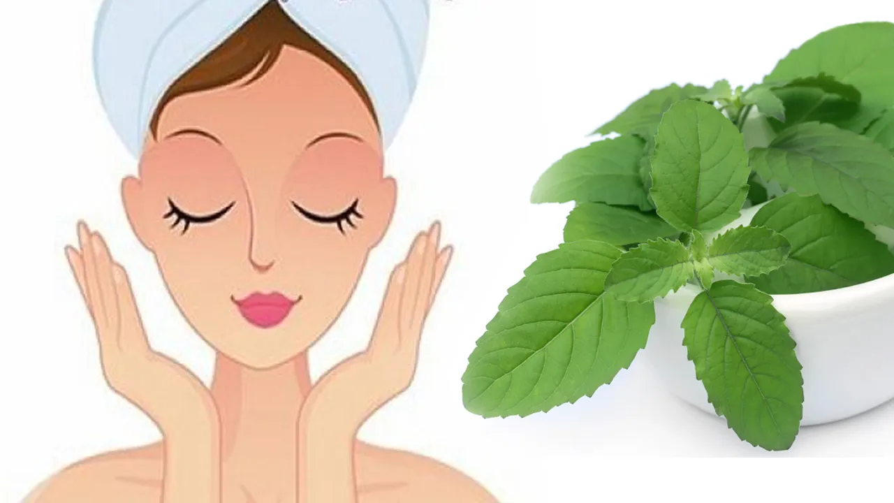 Tulsi Leaves for Skin