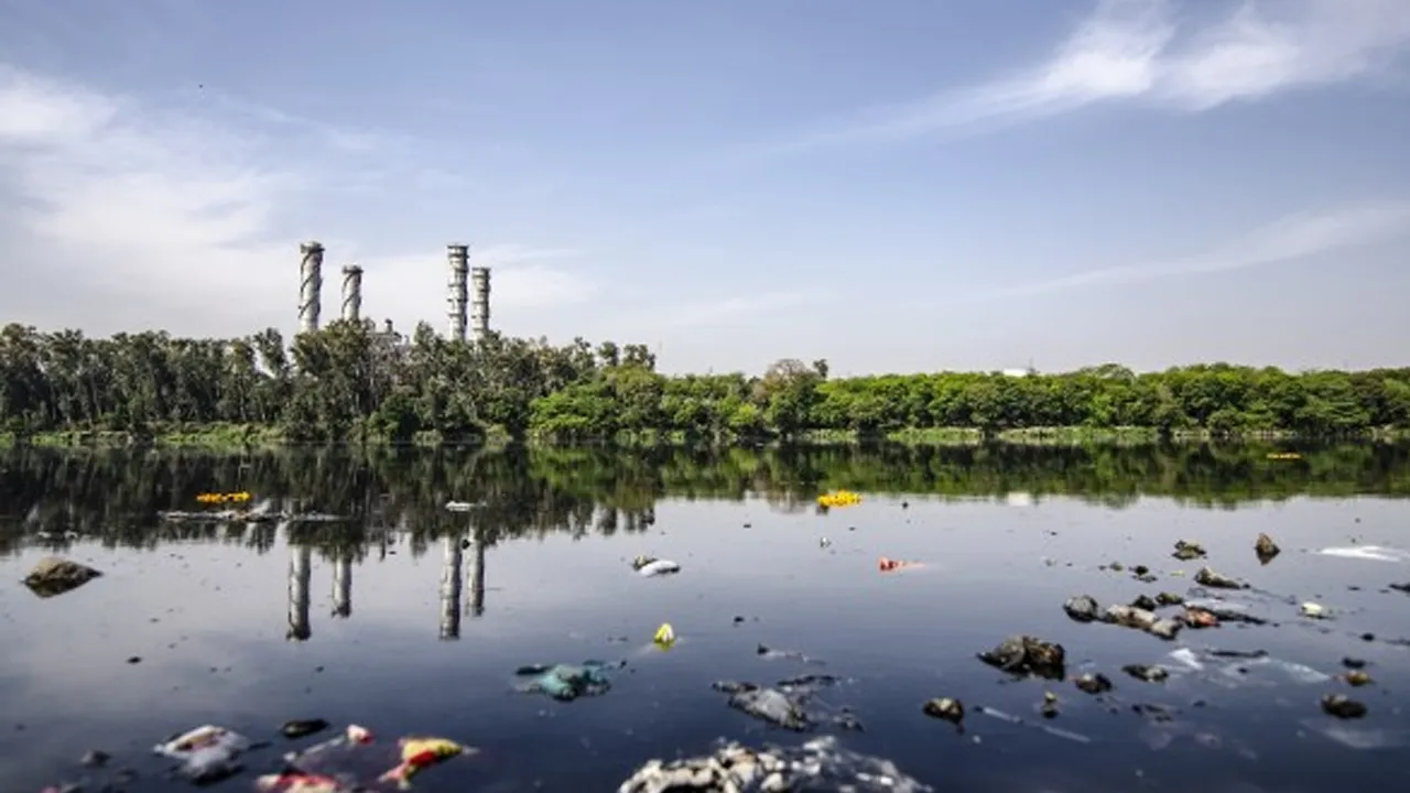 आर्सेनिक संदूषण (Arsenic Contamination)