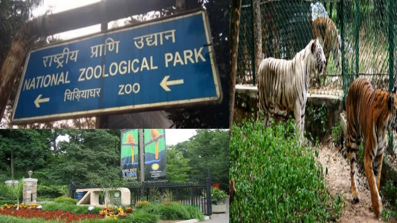 National Zoological Park