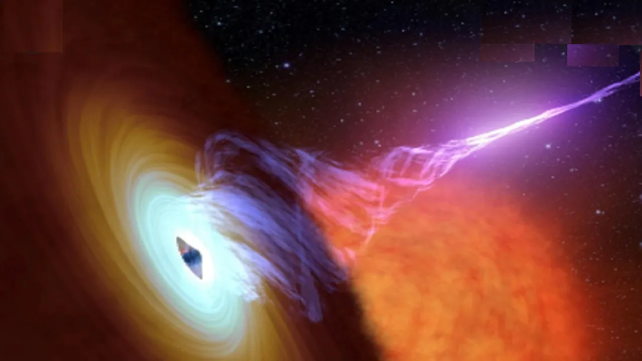 Black Hole Lights