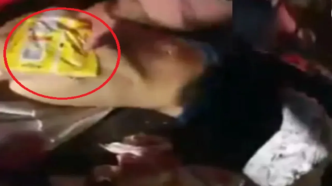 chips