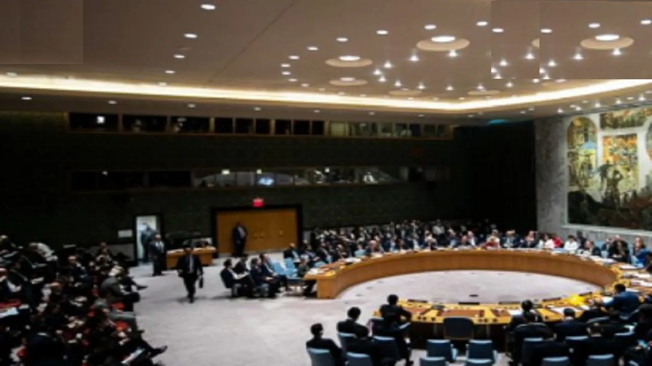 UNSC