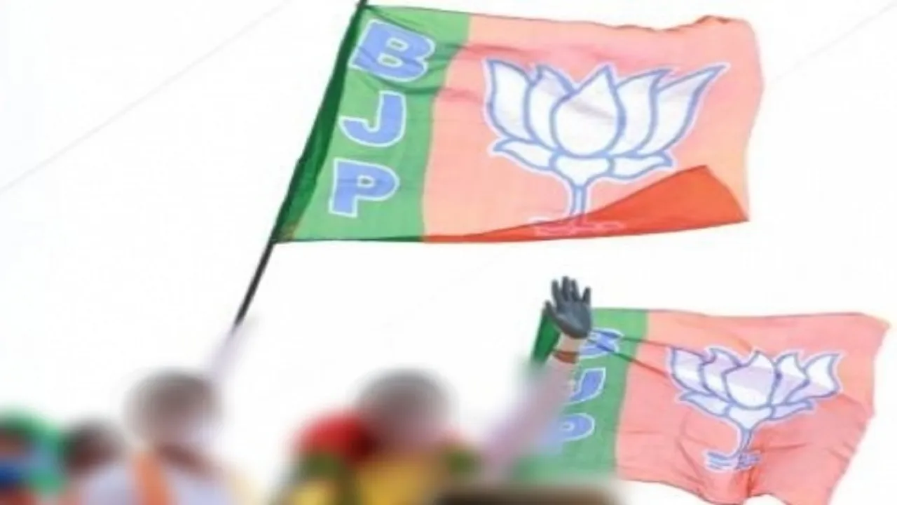 BJPs Jan Ashirwad Yatra