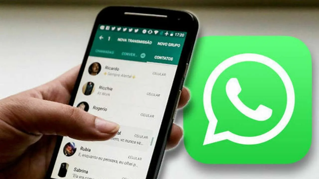 947009 whatsapp