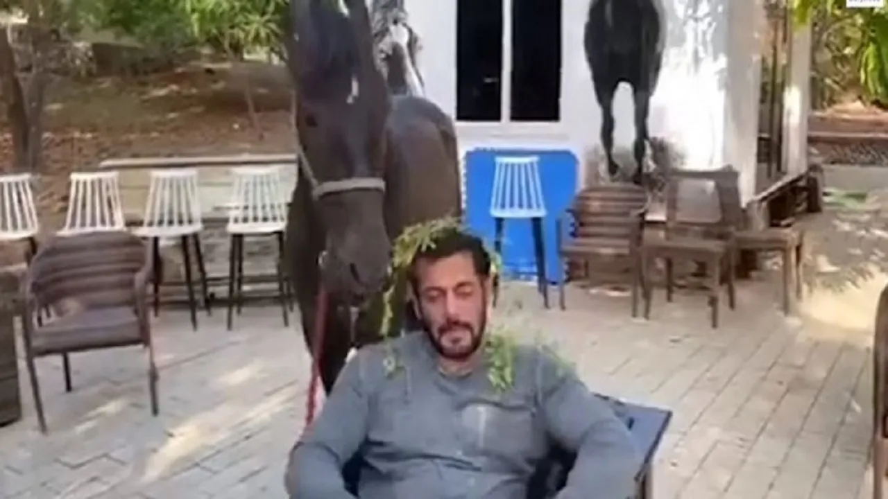 salmankhanvideo