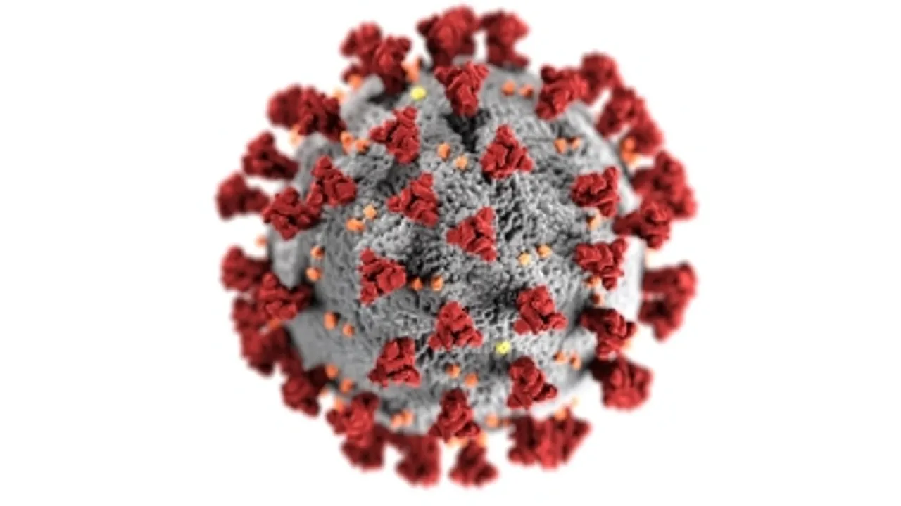 Antibody protect