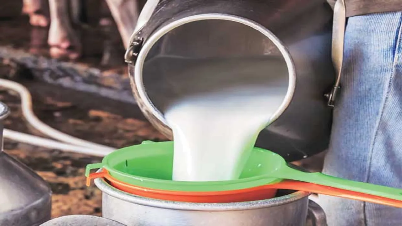 Milk