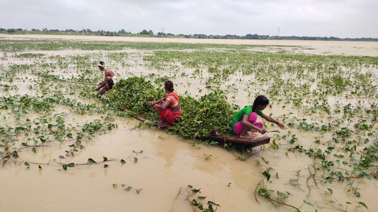 Bihar