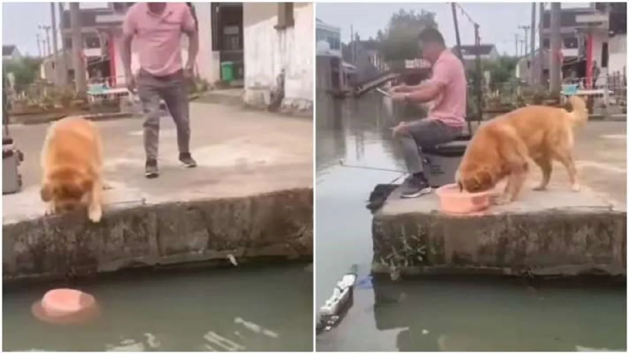 dog attacked