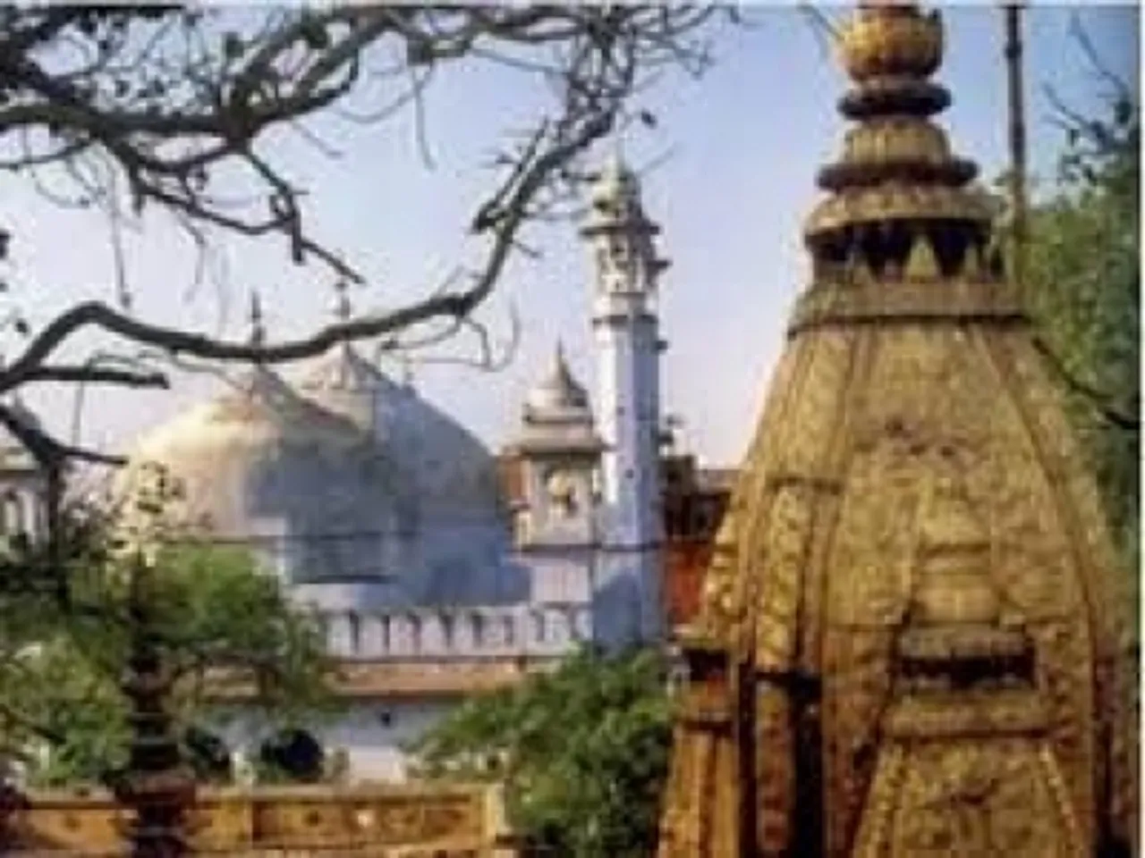 Allahabad HC