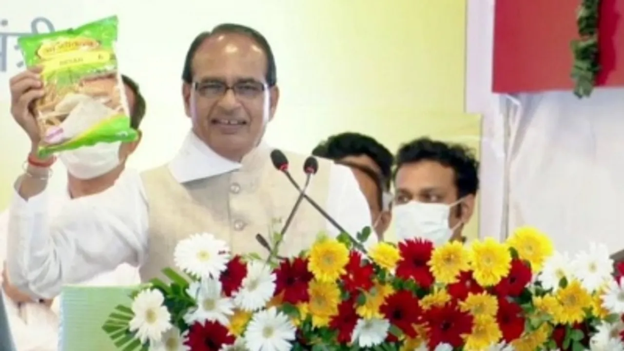 mp cm