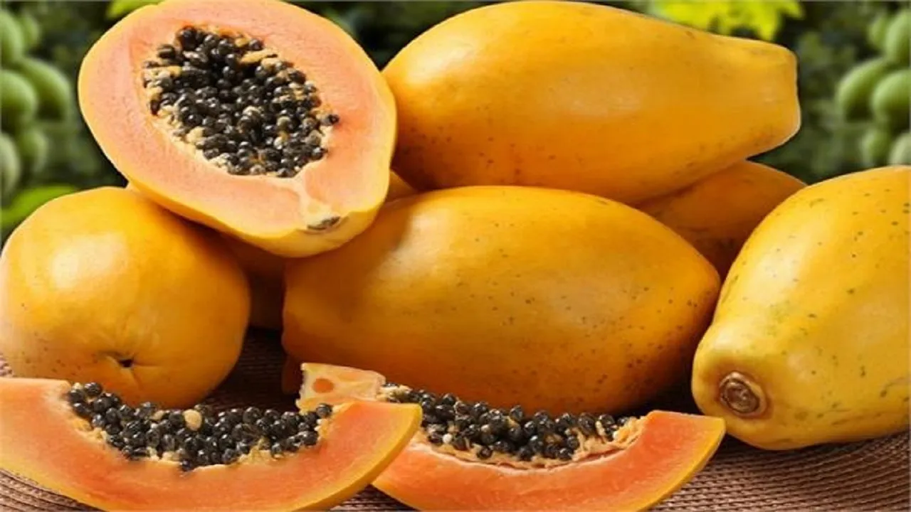 papaya  4565656565