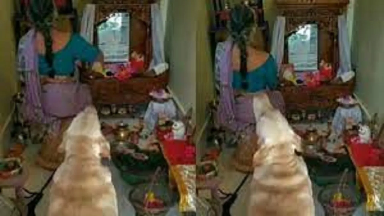 dogi pooja