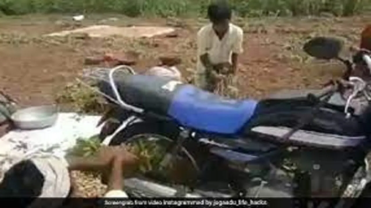 farmer22