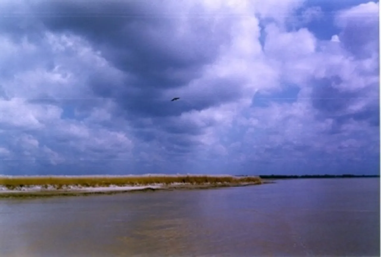 River ranching