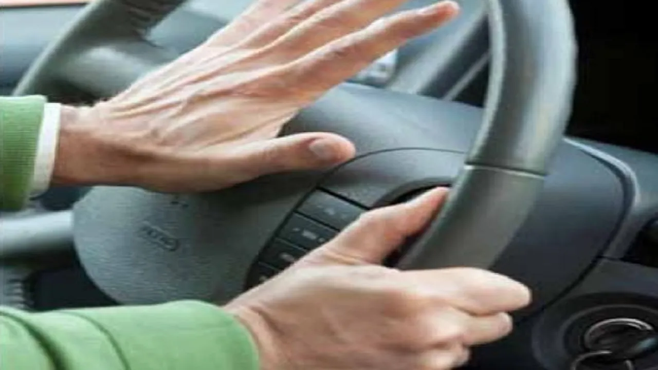 vehicle horn