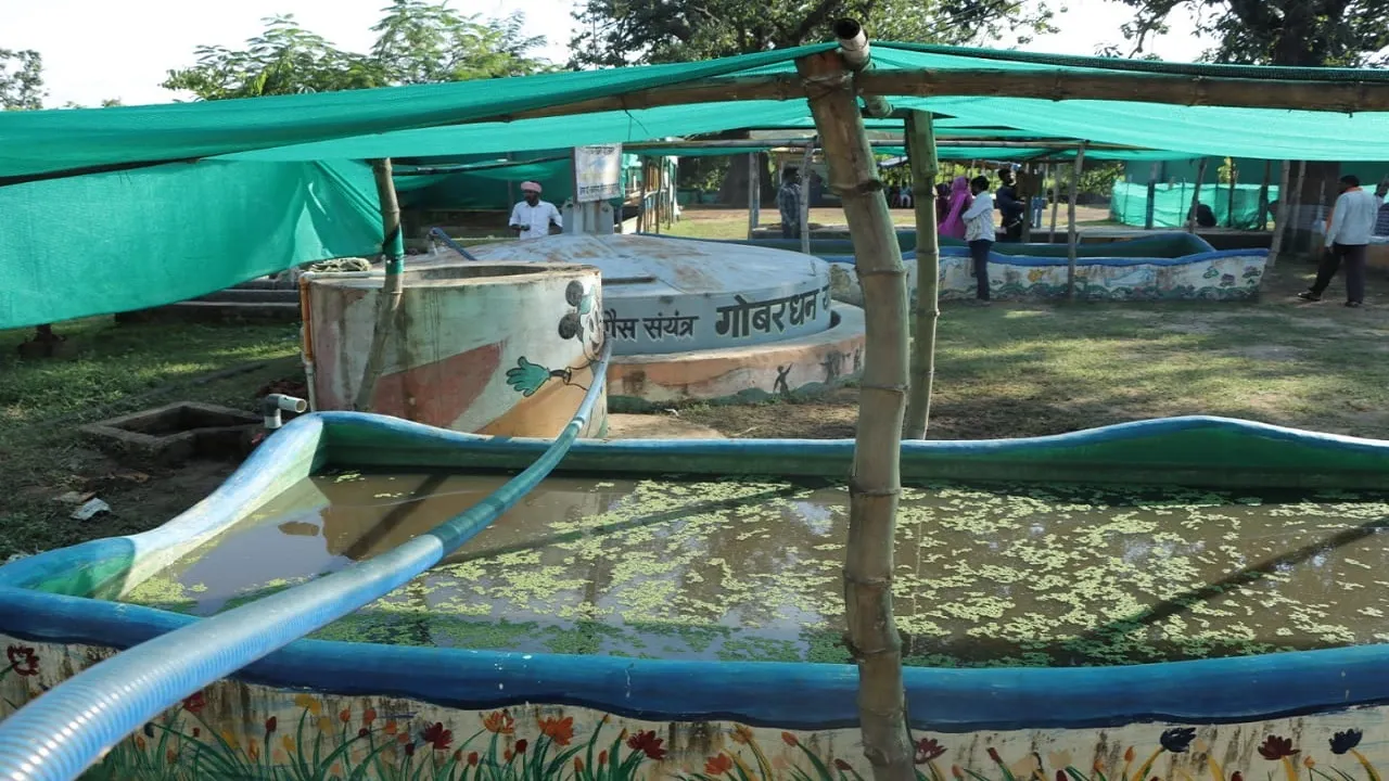 Chhattisgarh