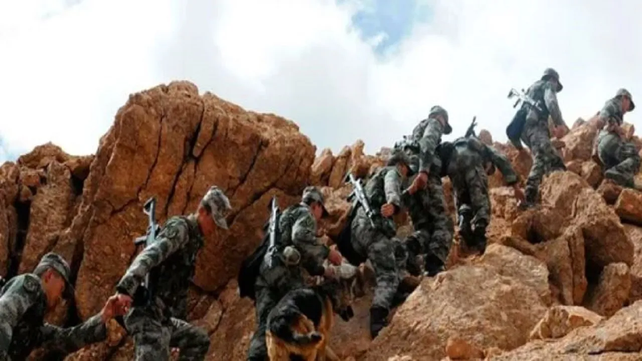 PLA