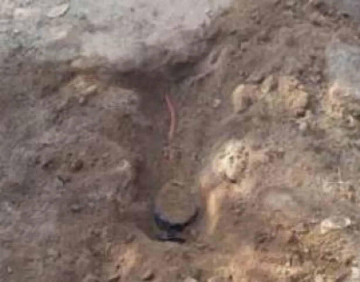 Bihar Naxalite