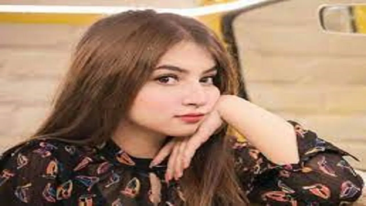dananeer mobeen