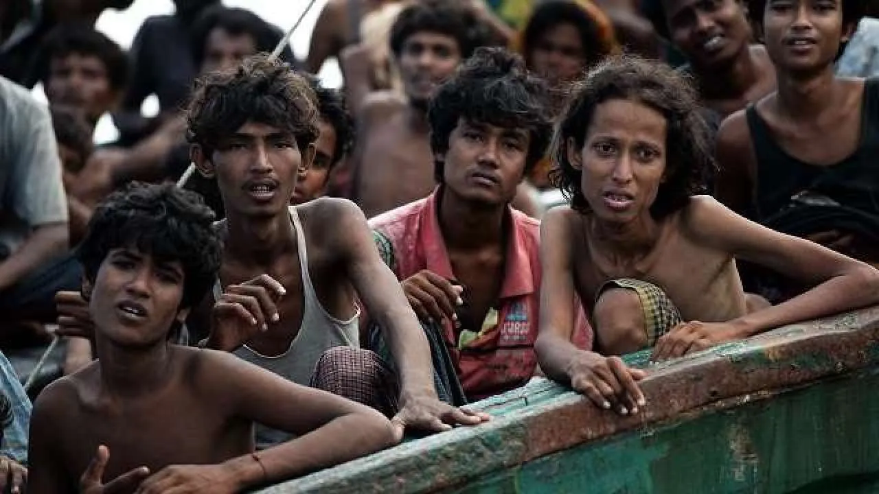 Rohingya