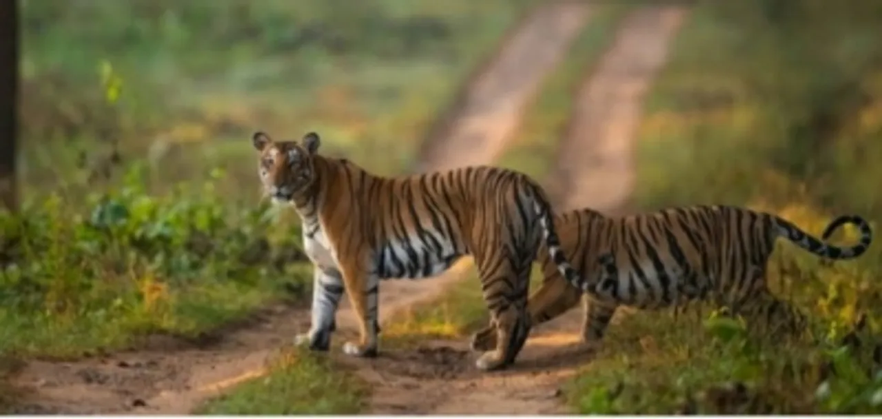 Karntaka BJP