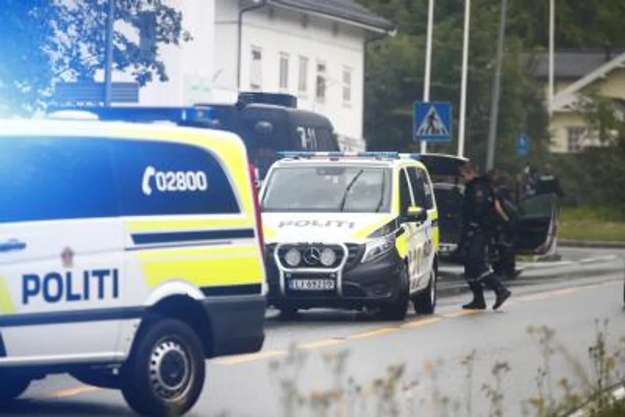5 killed,