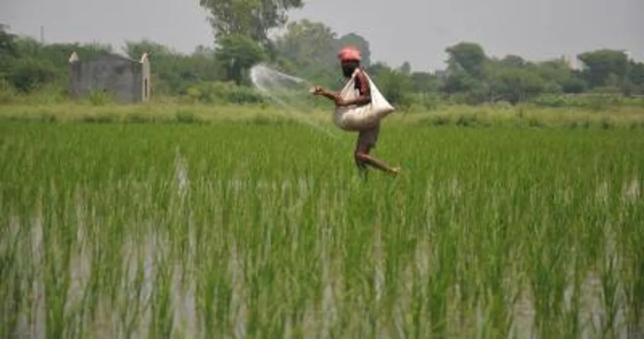 Govt continue
