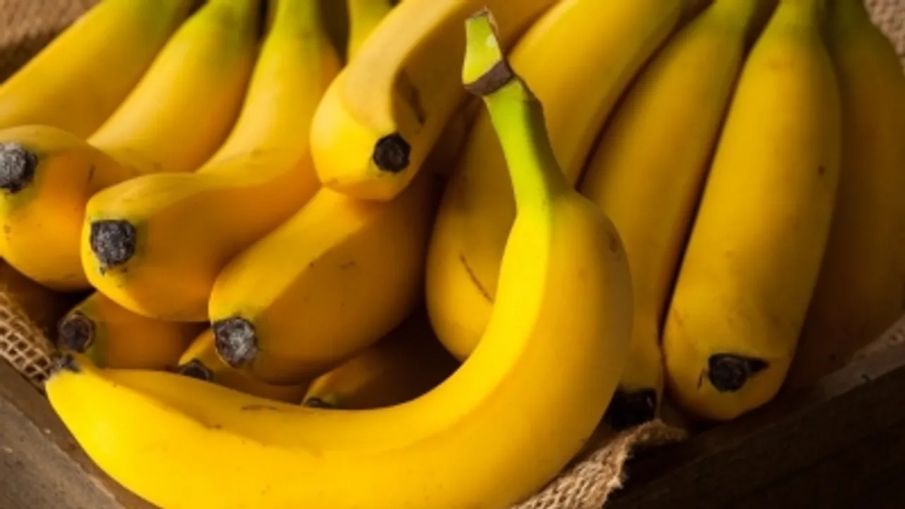UP banana