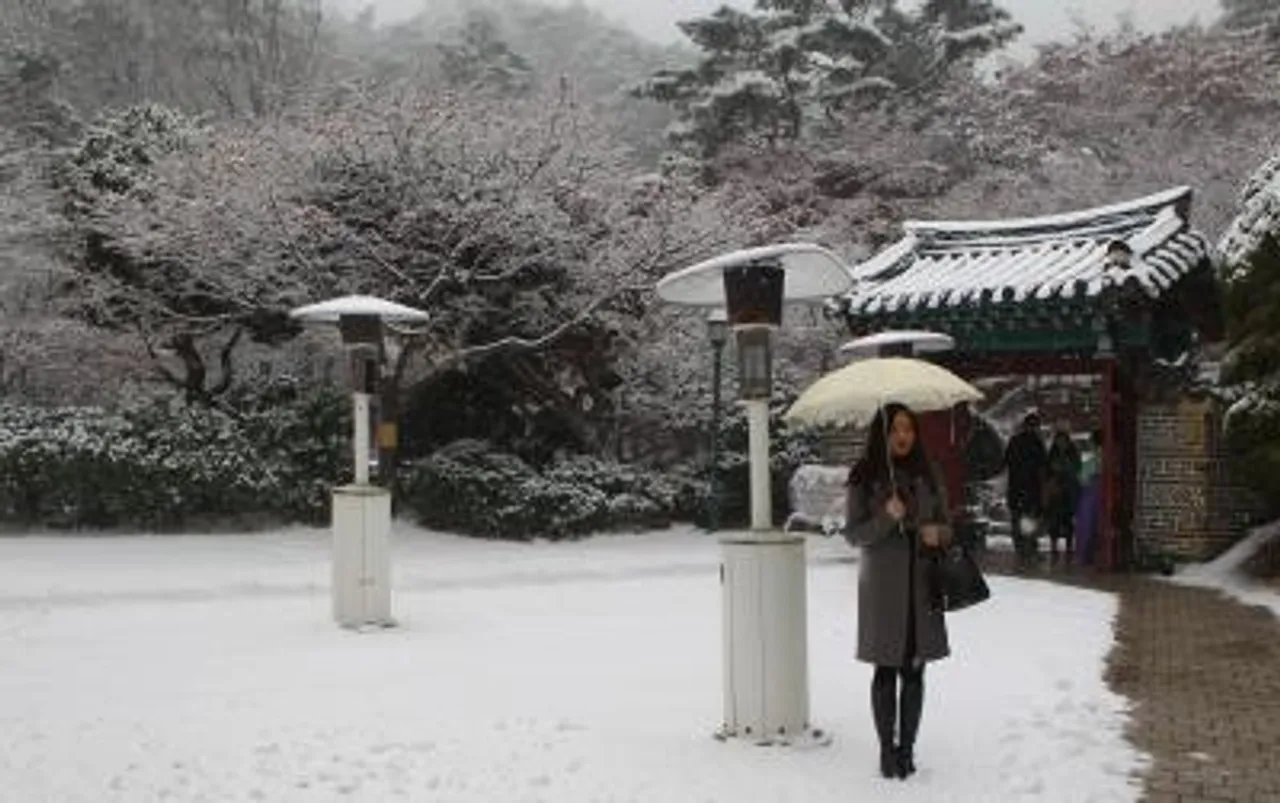 Seoul log
