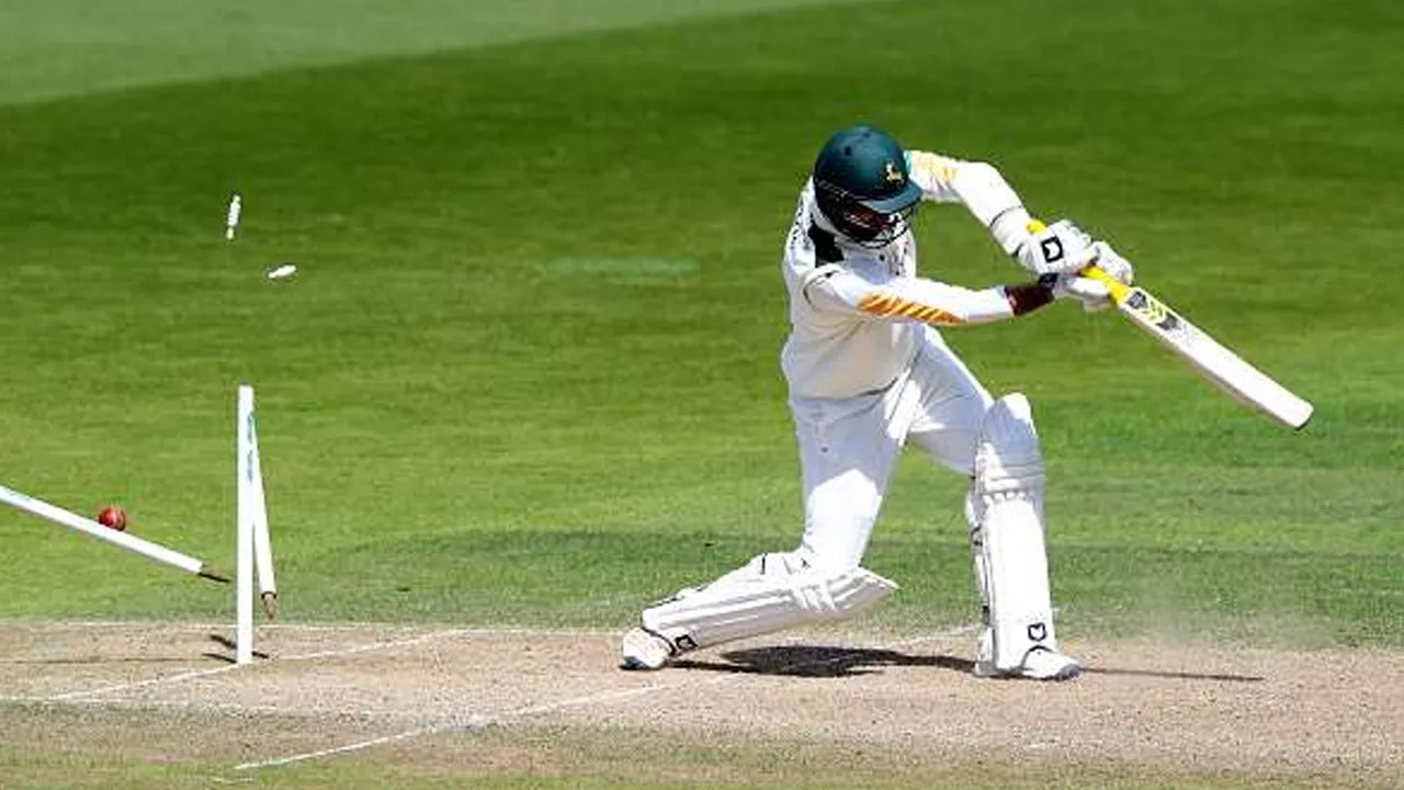 Cricket