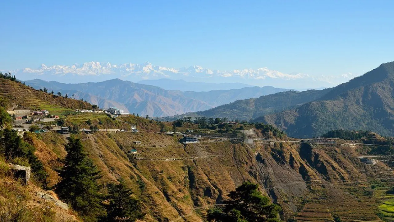 Dhanaulti 6576767