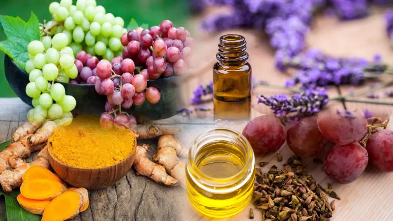 Useful Herbal Plants