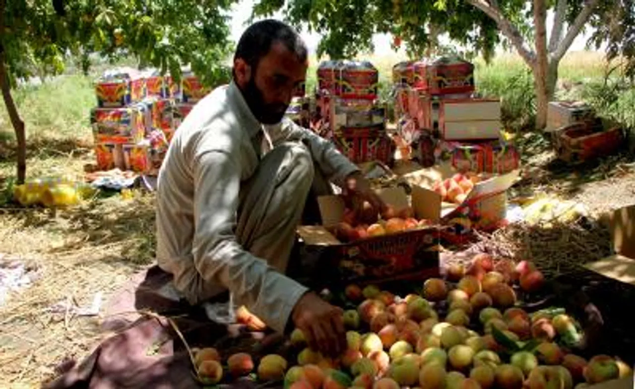 Taliban forcing