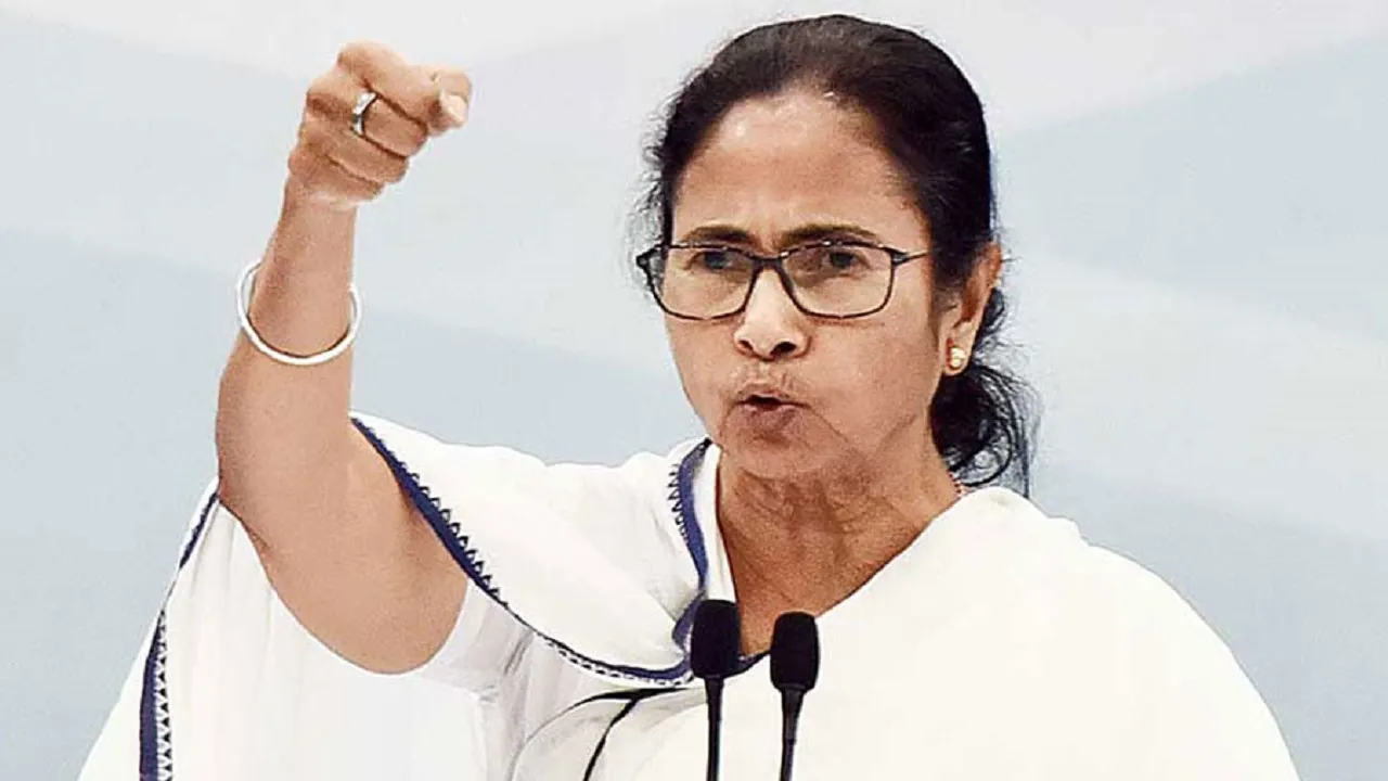mamta