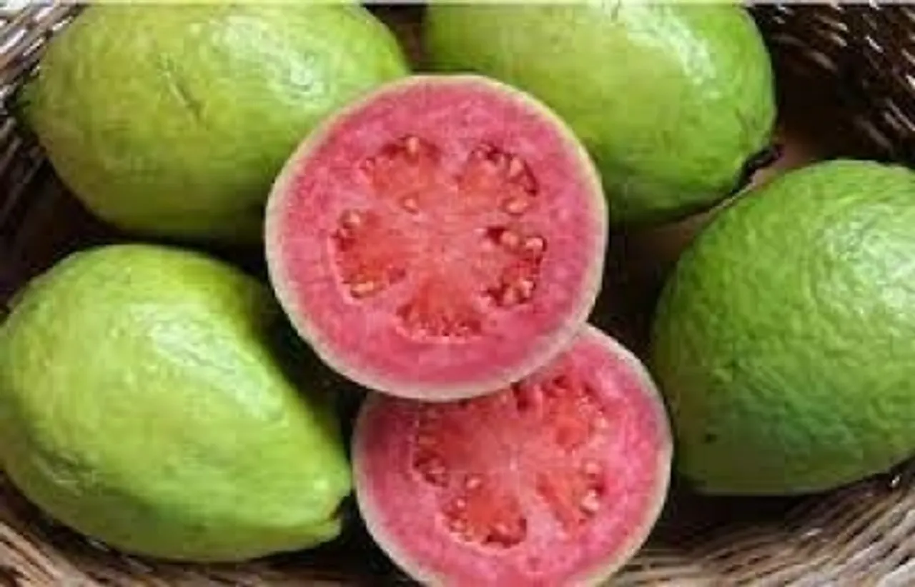 Pink guava